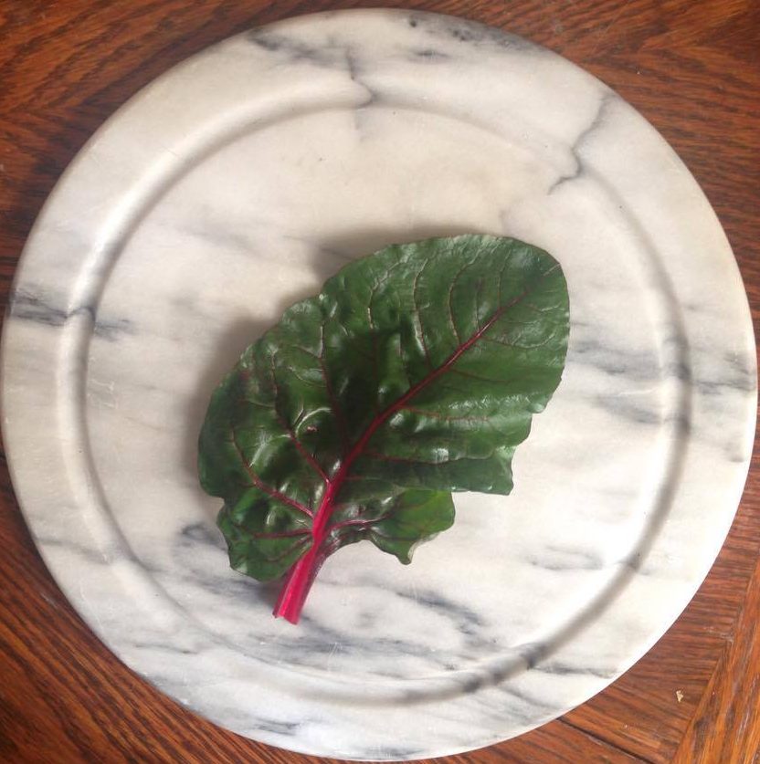 17236905_10101327143201748_1706845639_o