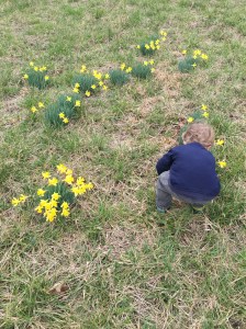 Take time to smell the flowers
